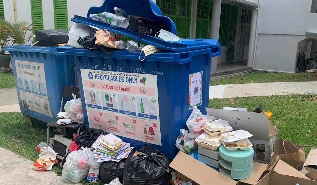 Recycling & Public Hygiene — PSLE oral stimulus picture