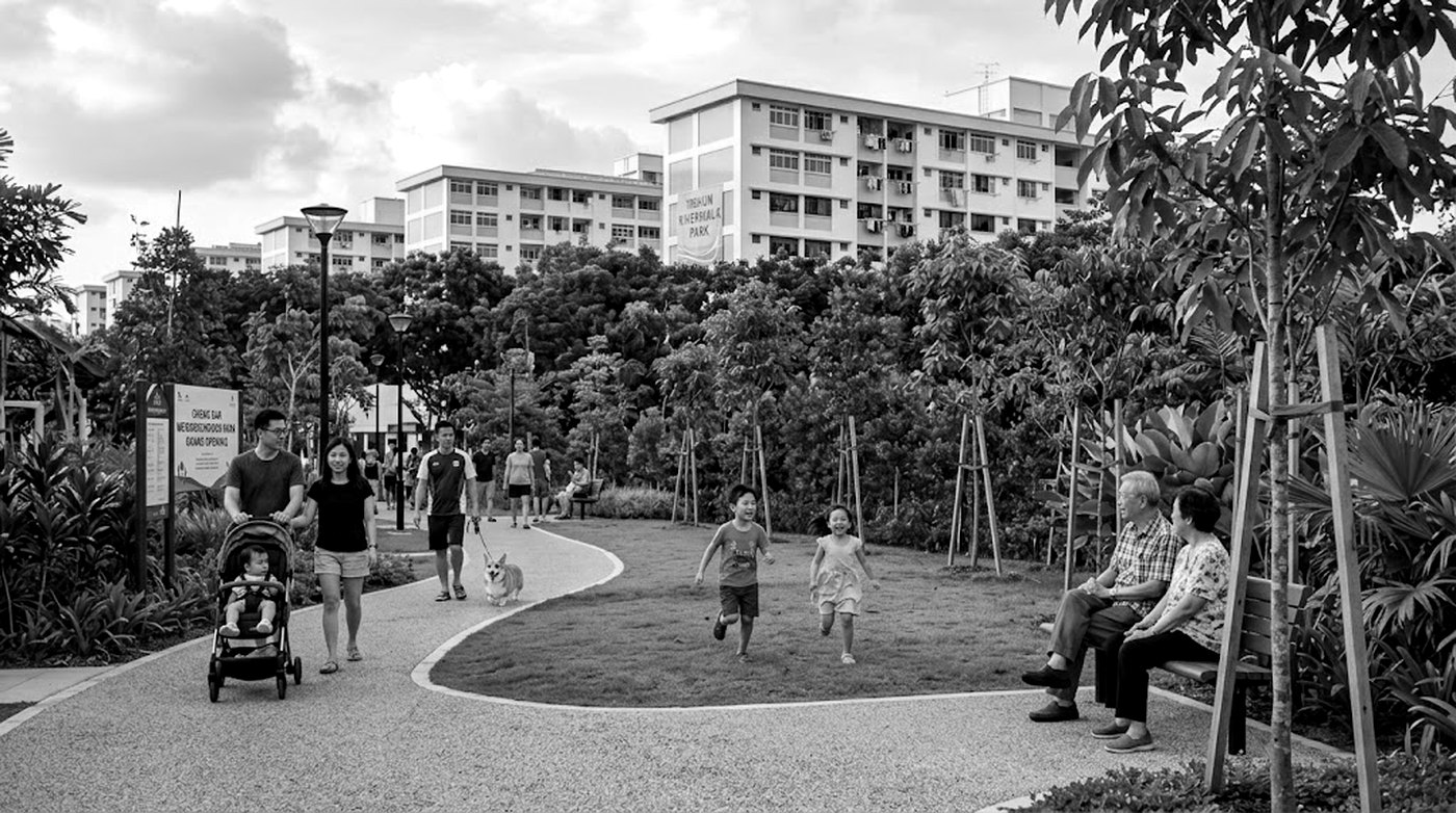 The Opening of a New Park — PSLE oral past year stimulus